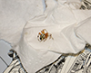 marbled orbweaver