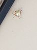 marbled orbweaver