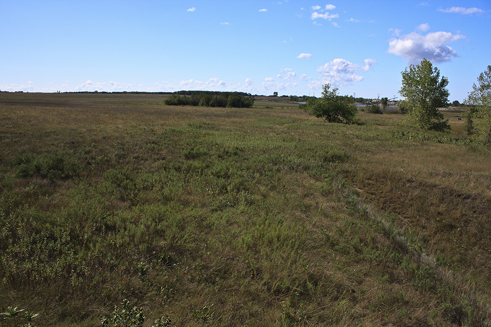 Minnesota Seasons Felton Prairie SNA Bicentennial Unit