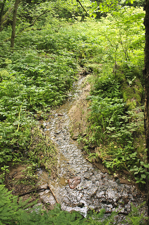 Minnesota Seasons Franconia Bluffs SNA