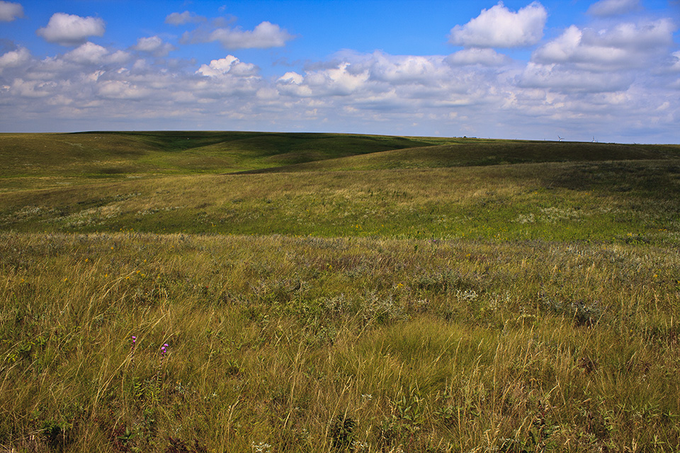 Minnesota Seasons Prairie Coteau SNA