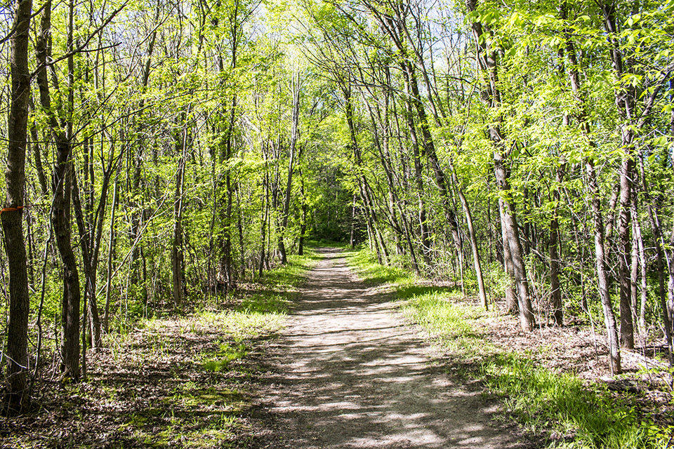 Minnesota Seasons Robert Ney Memorial Park Reserve