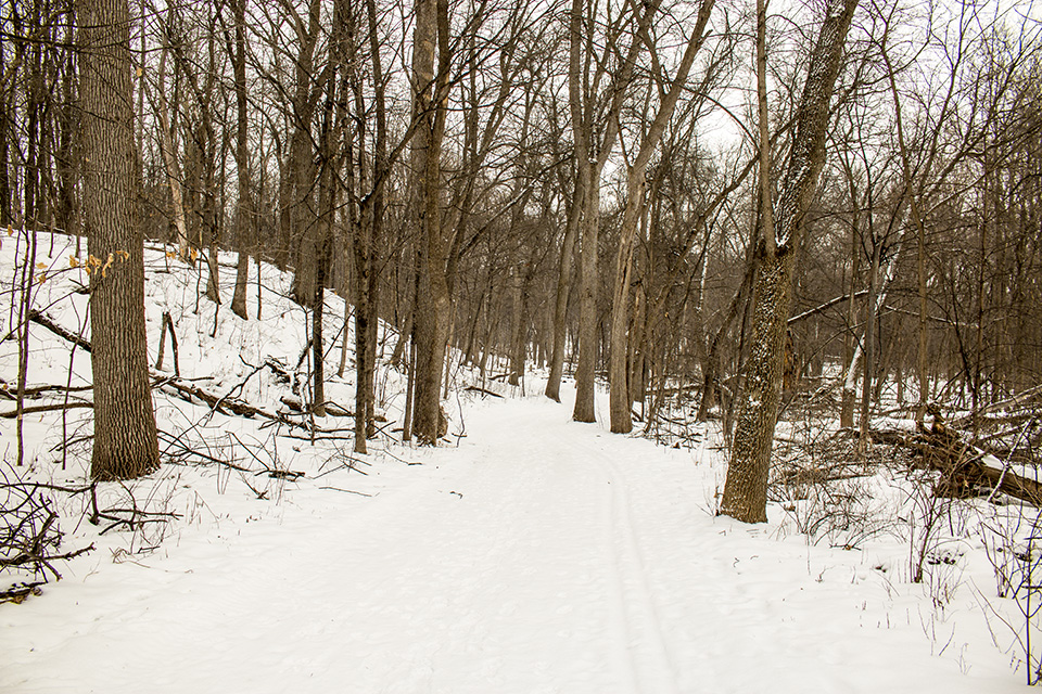 Minnesota Seasons Robert Ney Memorial Park Reserve