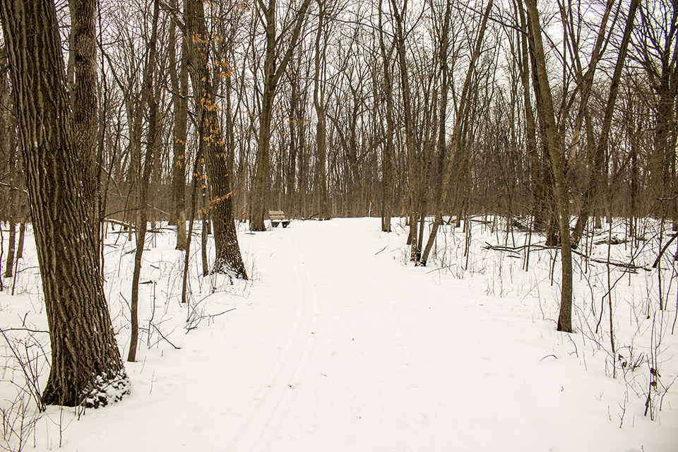 Minnesota Seasons Robert Ney Memorial Park Reserve