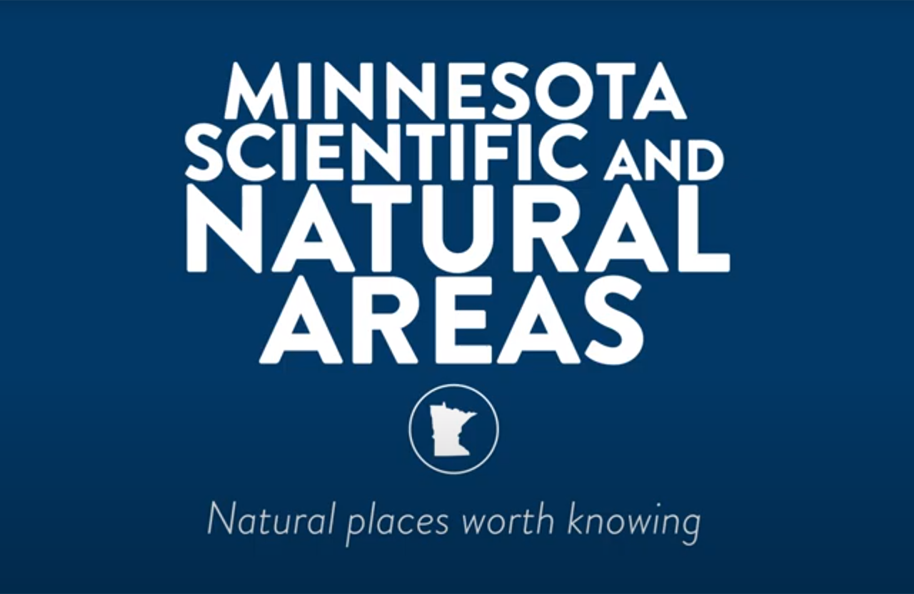 Minnesota DNR