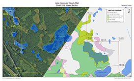 Printable map