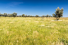 Antelope Valley SNA