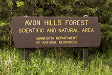 Avon Hills Forest SNA - North Unit