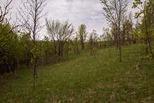 Big Woods Heritage Forest WMA