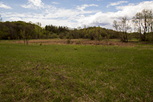 Big Woods Heritage Forest WMA