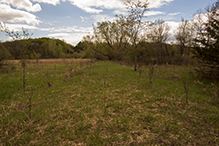 Big Woods Heritage Forest WMA