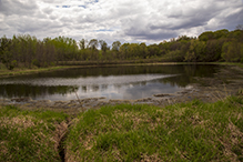 Big Woods Heritage Forest WMA