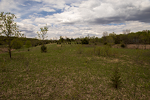 Big Woods Heritage Forest WMA