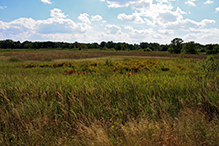 Blaine Preserve SNA