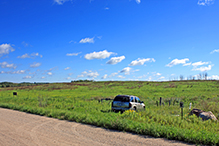 Blanket Flower Prairie SNA