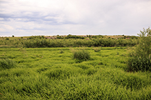 Blue Mounds State Park