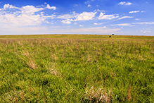 Blue Mounds State Park