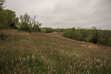 Brownsville Bluff SNA