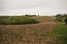 Brownsville Bluff SNA