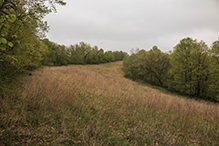 Brownsville Bluff SNA