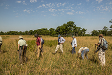 Cedar Creek Ecosystem Science Reserve