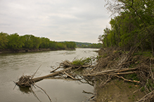 Chamberlain Woods SNA