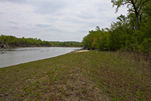 Chamberlain Woods SNA