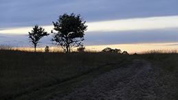 Crow-Hassan Park Reserve