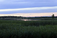 Crow-Hassan Park Reserve