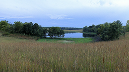 Crow-Hassan Park Reserve