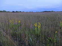 Crow-Hassan Park Reserve