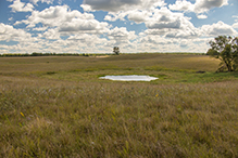 Crow-Hassan Park Reserve