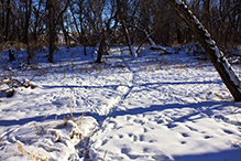 Des Moines River SNA