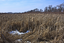 Des Moines River SNA