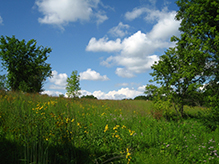 Elm Creek Park Reserve