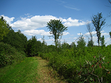 Elm Creek Park Reserve