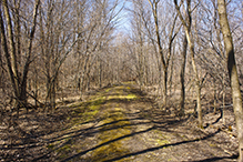 Elm Creek Park Reserve