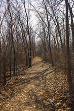 Elm Creek Park Reserve