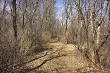 Elm Creek Park Reserve