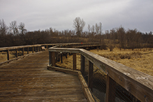 Elm Creek Park Reserve