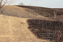 Frenchman’s Bluff SNA