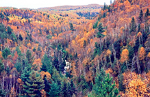 George H. Crosby Manitou State Park