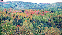 George H. Crosby Manitou State Park