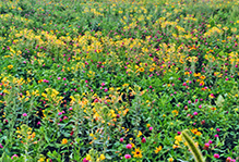 Glacial Lakes State Park