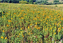 Glacial Lakes State Park