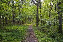 Glacial Lakes State Park