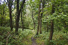 Glacial Lakes State Park