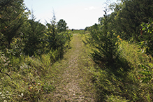 Greenleaf Lake State Recreation Area