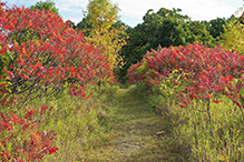 Greenleaf Lake State Recreation Area