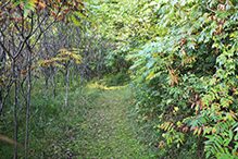 Greenleaf Lake State Recreation Area